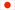 Japanese